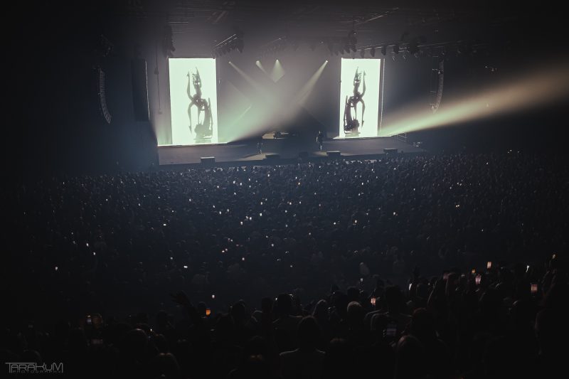 Flapjack, Sztigar Bonko w Kwadratowa, Gdańsk