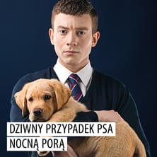 Dziwny przypadek psa nocną porą Dziwny przypadek psa nocną porą