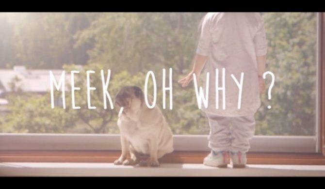 Meek, Oh Why? – nowy artysta w Asfalt Records Meek, Oh Why? – nowy artysta w Asfalt Records