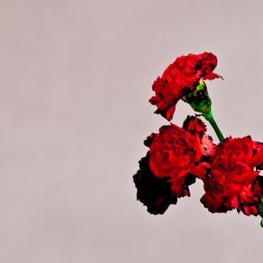 John Legend – „Love In The Future”