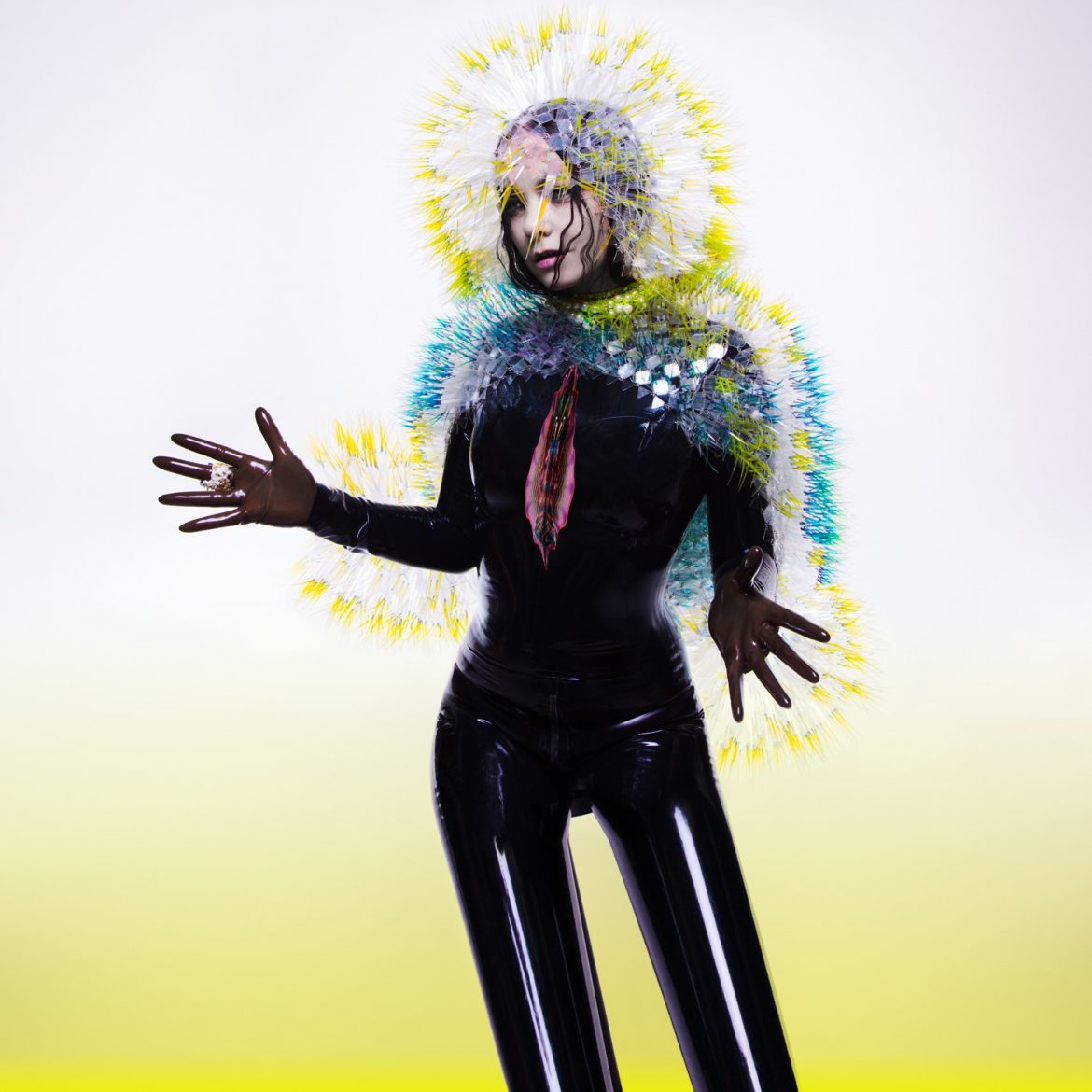 Björk – „Vulnicura”