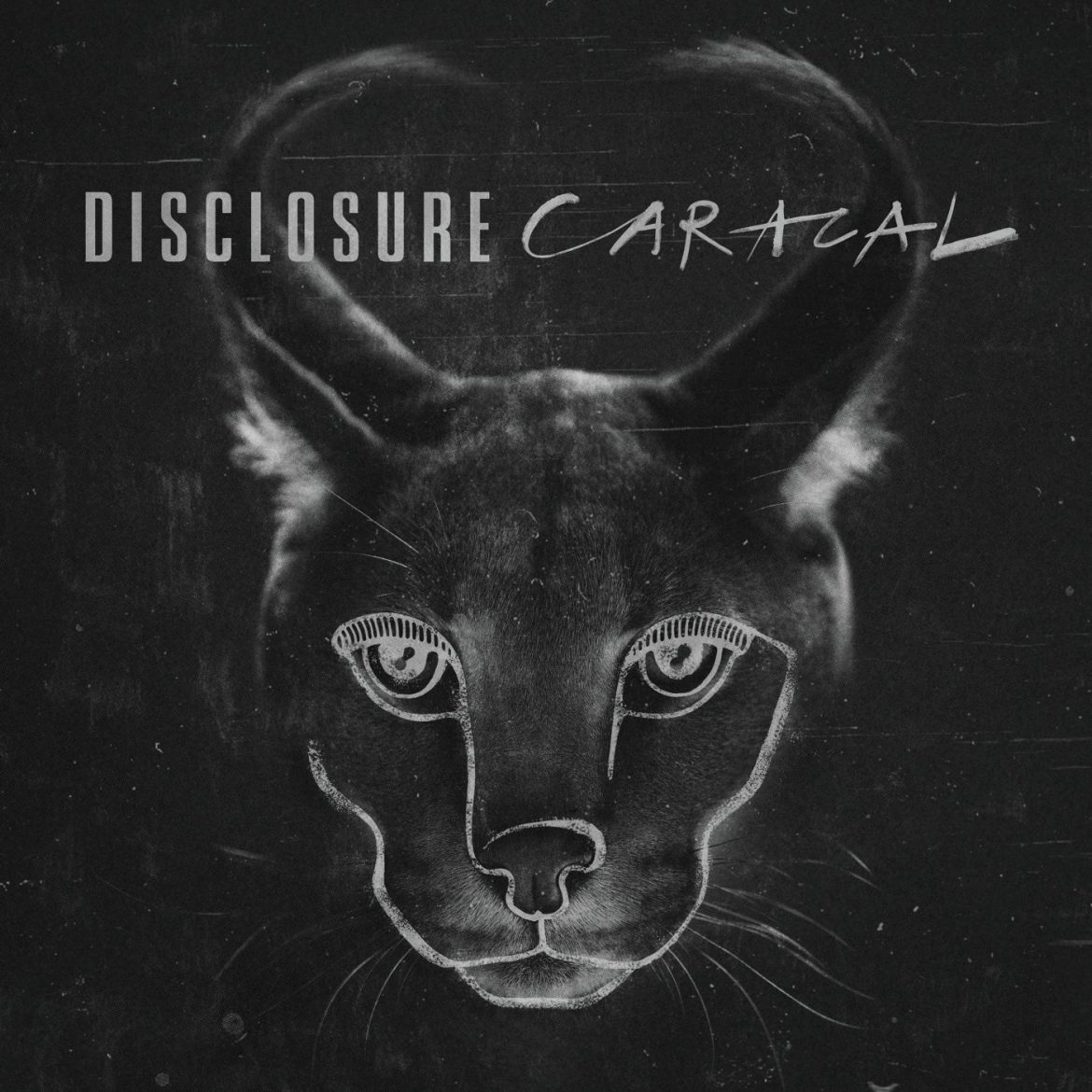 Disclosure – „Caracal”