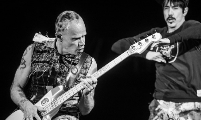 Red Hot Chili Peppers zmuszeni do podpisania gadżetów Metalliki.