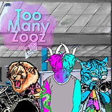 Too Many Zooz