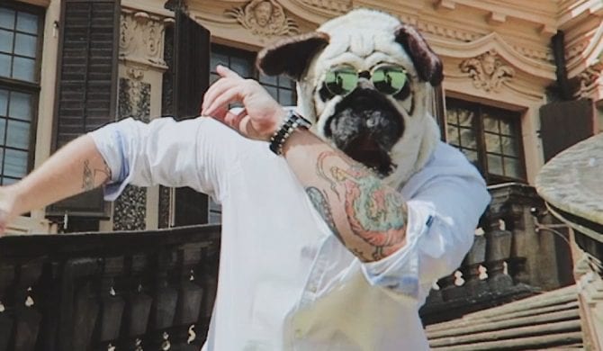 Mops zaprezentował nowy klip Mops zaprezentował nowy klip