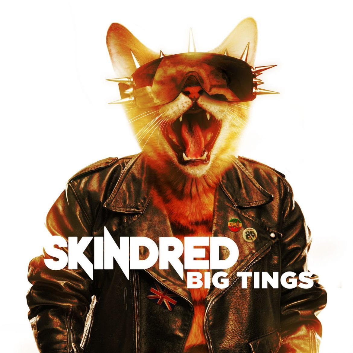 Skindred – „Big Tings”