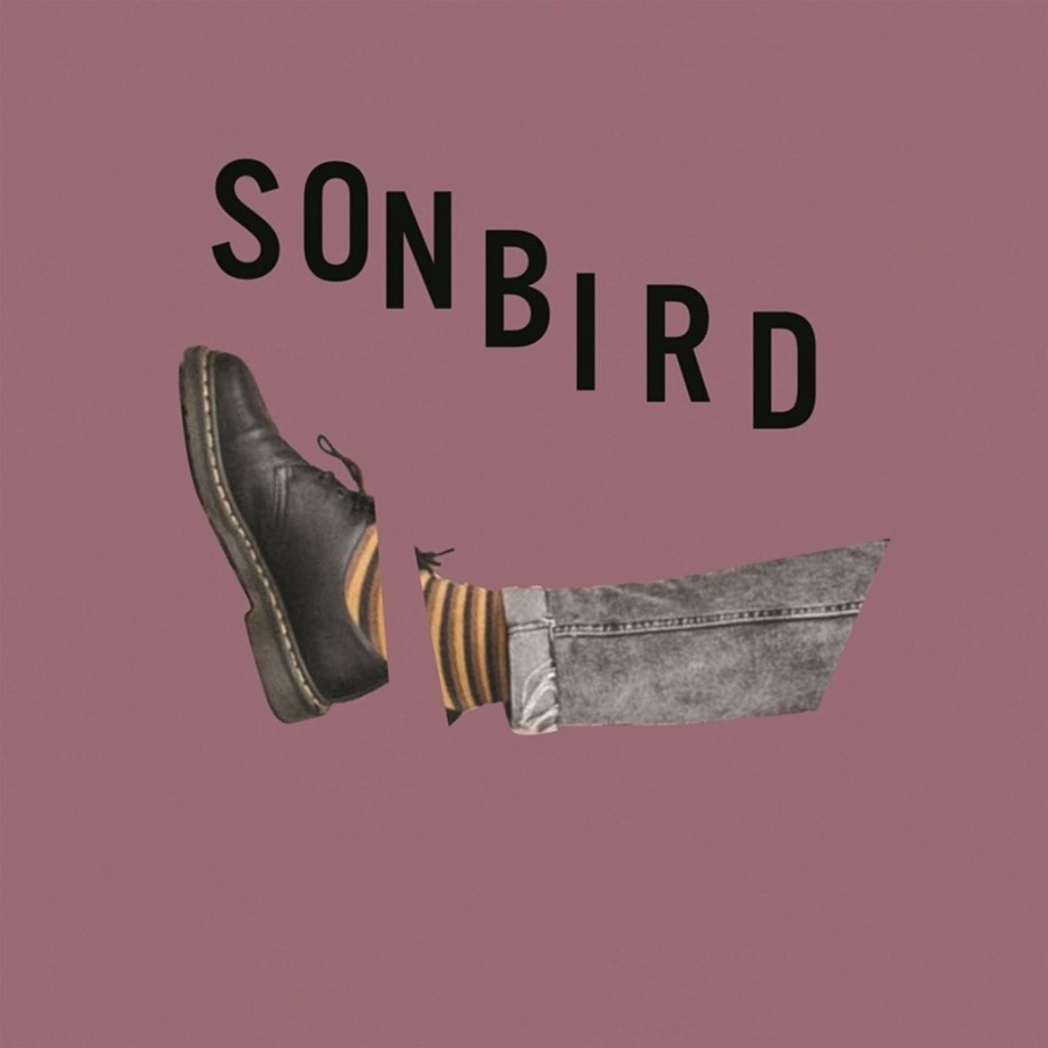 Sonbird – „Głodny”