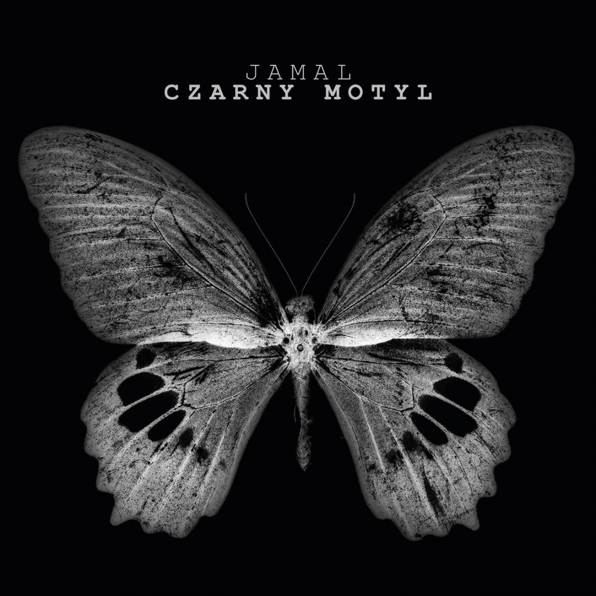 Jamal – „Czarny motyl” (recenzja)