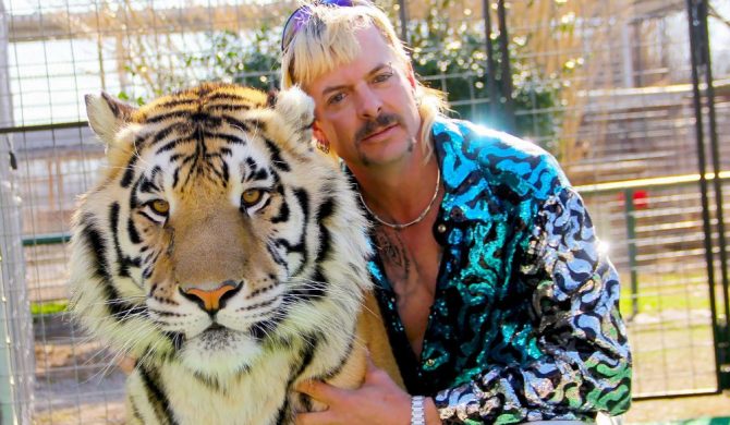 Cardi B chce zbierać pieniądze dla bohatera „Króla tygrysów”