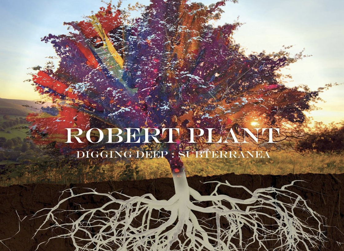 Digging Deep' Into Robert Plant's Solo Catalog