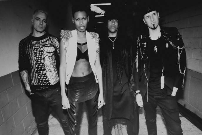 Złoto dla Skunk Anansie