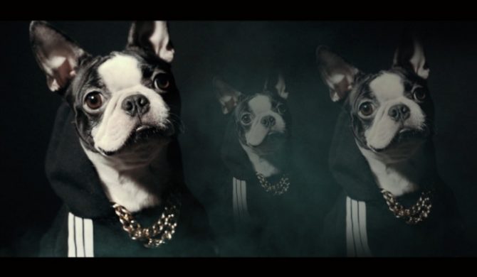 Stochu, Buszu, Buczer, ZdunO i JNR – „Co cię trapi?” (wideo) Stochu, Buszu, Buczer, ZdunO i JNR – „Co cię trapi?” (wideo)